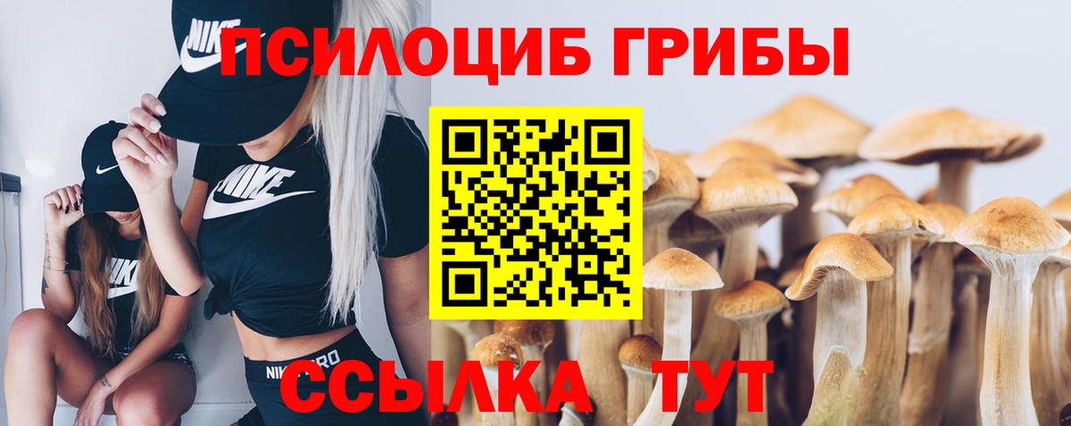 Галлюциногенные грибы прущие грибы Рассказово